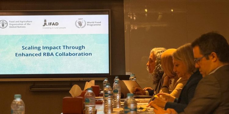 “فريج جيجيان”: مصر تظهر قيادة قوية في تعزيز الأمن الغذائي والتنمية المستدامة