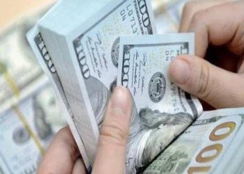 اقتصادي يكشف أسباب زيادة تحويلات العاملين بالخارج لـ 29.2 مليار دولار خلال 8 أشهر