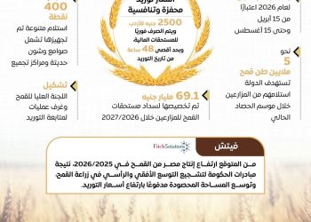 المركز الإعلامي لمجلس الوزراء: الحكومة تستعد بخطة شاملة وتيسيرات للمزارعين لتوريد  القمح