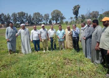 “الزراعة” تكشف حقيقة شكوى مزارع البطيخ ببلطيم