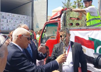 قافلة “حزب الوفد” الطبية تعالج عشرات الحالات في التخصصات النادرة بمحافظة شمال سيناء