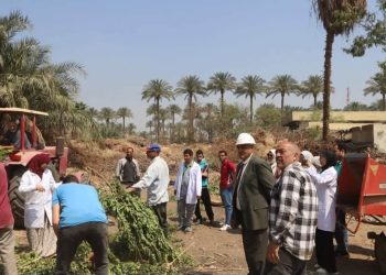 جامعة القاهرة تدشّن وحدة متخصصة لتدوير المخلفات الزراعية بكلية الزراعة بالتعاون مع وزارة البيئة دعمًا للاستدامة والتحول الأخضر
