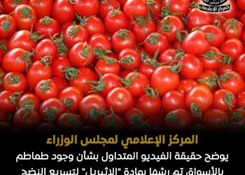 حقيقة وجود طماطم بالأسواق تمت معاملتها بمادة لتسريع النضج و تسبب الفشل الكلوي