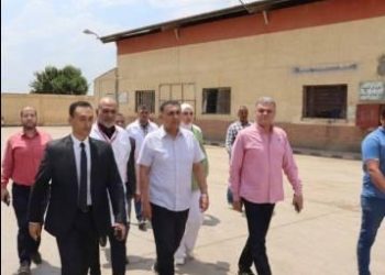 محافظ القليوبية يتفقد مجزر “شبرا شهاب” بالقناطر الخيرية للاطمئنان على جاهزيته لاستقبال الأضاحي