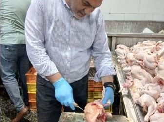 محافظ القليوبية يتابع جهود “الطب البيطري” في ضبط 3 أطنان دواجن فاسدة