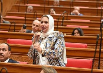 برلمانية: مبادرة “الخضراء الذكية” تعكس رؤية الدولة في تبني حلول تراعي الأبعاد البيئية والتكنولوجية
