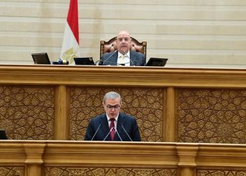 “سعفان” يطالب بضرورة التوسع في خلق فرص العمل لخفض معدلات البطالة