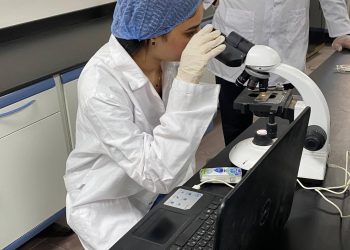 التعليم العالي: الجامعات التكنولوجية تشهد طفرة في الأداء خلال العام الجامعي 2025/2026