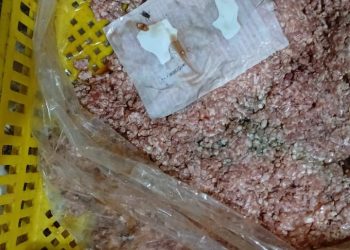 خلال يومين فقط.. “صحة الإسكندرية” تضبط ١٣ ألف طن من الأغذية غير المطابقة وتعدم ١٩٦ كيلوجراماً وتحرر ٤٥ محضر جنحة صحية