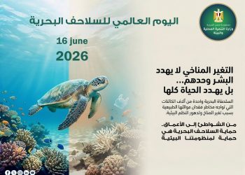 منال عوض : حماية السلاحف البحرية استثمار في صحة النظم البيئية البحرية ومستقبل الأجيال القادمة