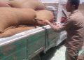 استمرار أعمال توريد القمح ببني سويف.. و346 ألفًا طنًا إجمالي الكميات المُستلمة منذ بداية الموسم مع توفير كافة التيسيرات للموردين