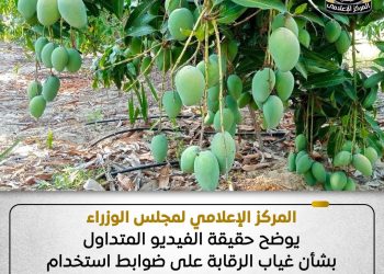 حقيقة غياب الرقابة على ضوابط استخدام مواد كيميائية تسرع نضج الفاكهة