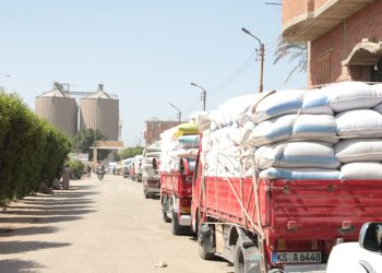 مع انتظام أعمال التوريد.. استلام 343.2 ألف طن قمح بمواقع التخزين والاستلام بالصوامع والشون منذ بداية موسم الحصاد
