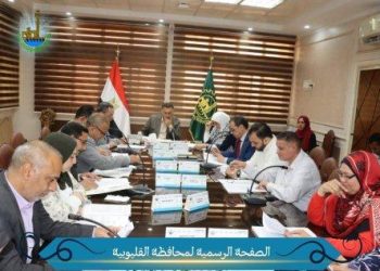 محافظ القليوبية: دعم المستثمرين وتطوير المناطق الصناعية أولوية لتحسين بيئة الاستثمار ودعم الإنتاج