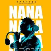 Dantizd - Wange