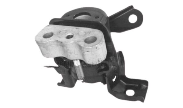 CARGADOR DE MOTOR