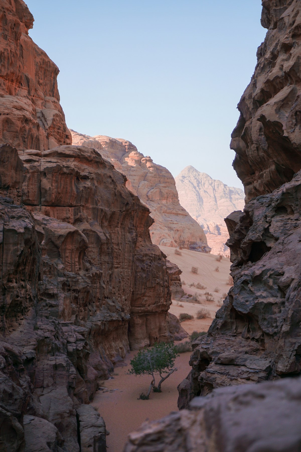 Desert canyon