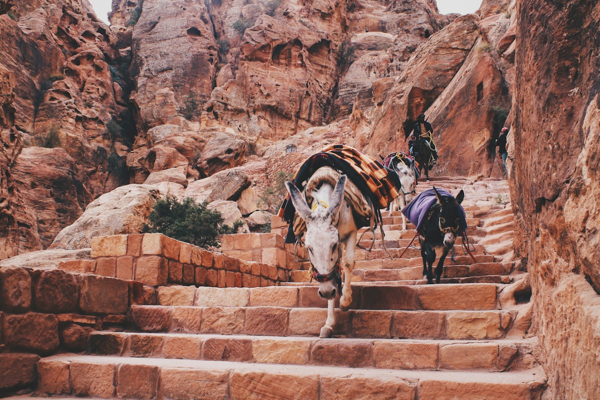 Petra paths