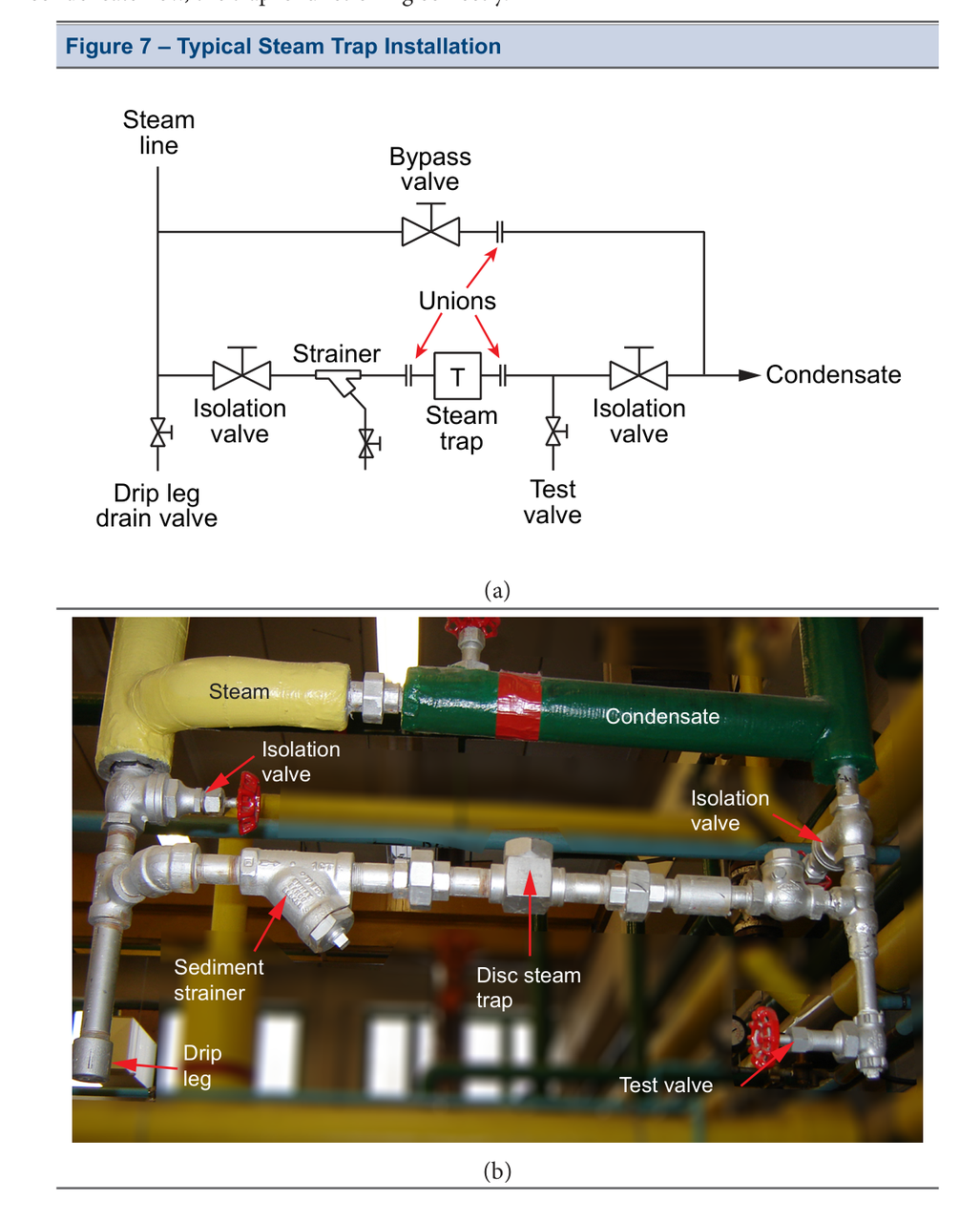 Figure 7 - Typical Steam Trap Installation