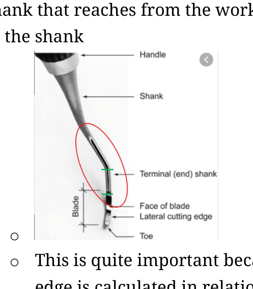 Anatomical view of a curette instrument