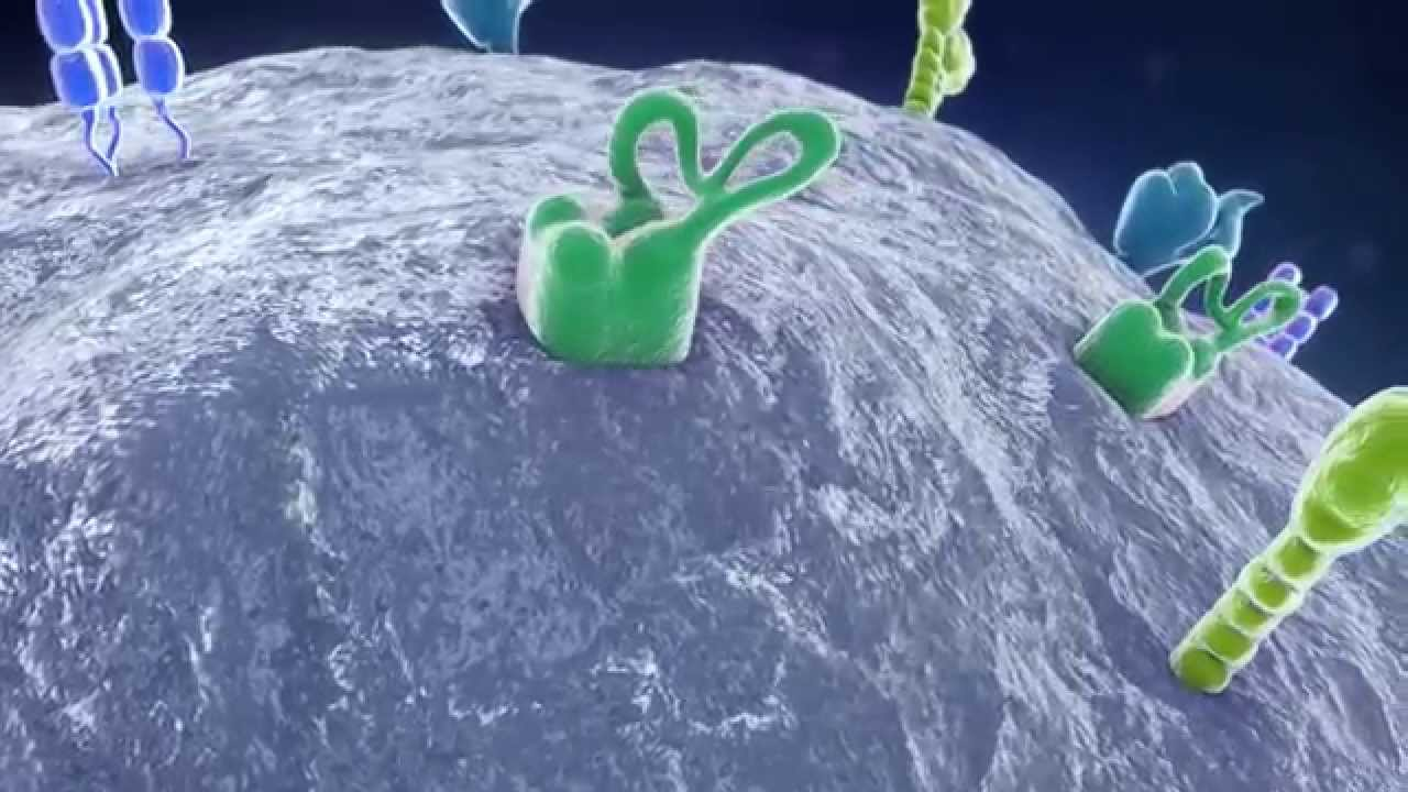 Antigens on the surface of a cell.