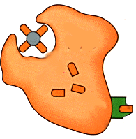 Macrophage presenting antigen to helper T-cell