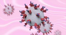 SARS-CoV-2 virus particle.