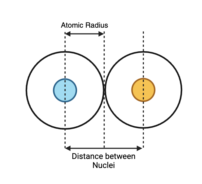 A diagram illustrating atomic radius. Two atoms are shown side-by-side. The atomic radius is indicated by a double-headed arrow from the nucleus to the outer edge of the electron shell of one atom. The distance between the nuclei of the two atoms is also indicated.
