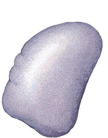 Diagrams illustrating the peritoneal relations of the spleen.