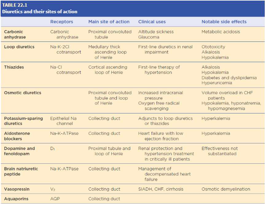 Table showing diuretics and their sites of action, clinical uses, and notable side effects.