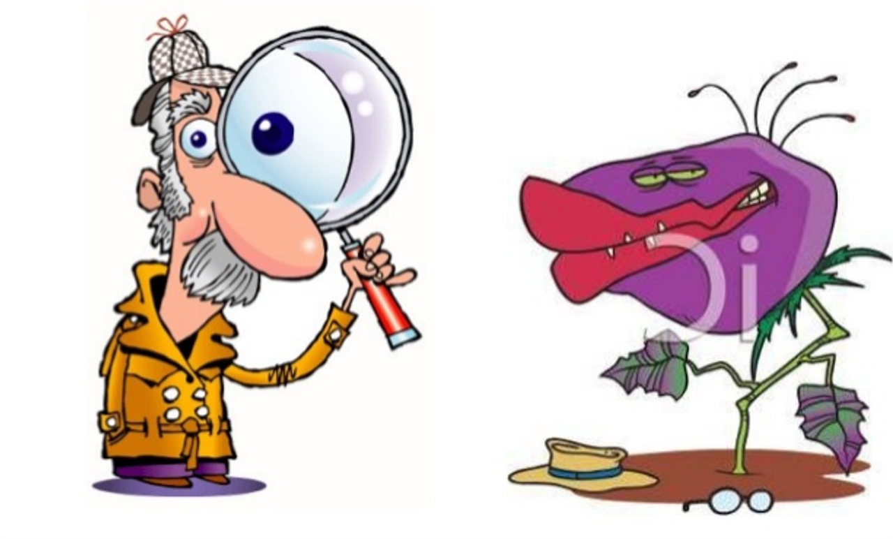 cartoon scientist examining a plant