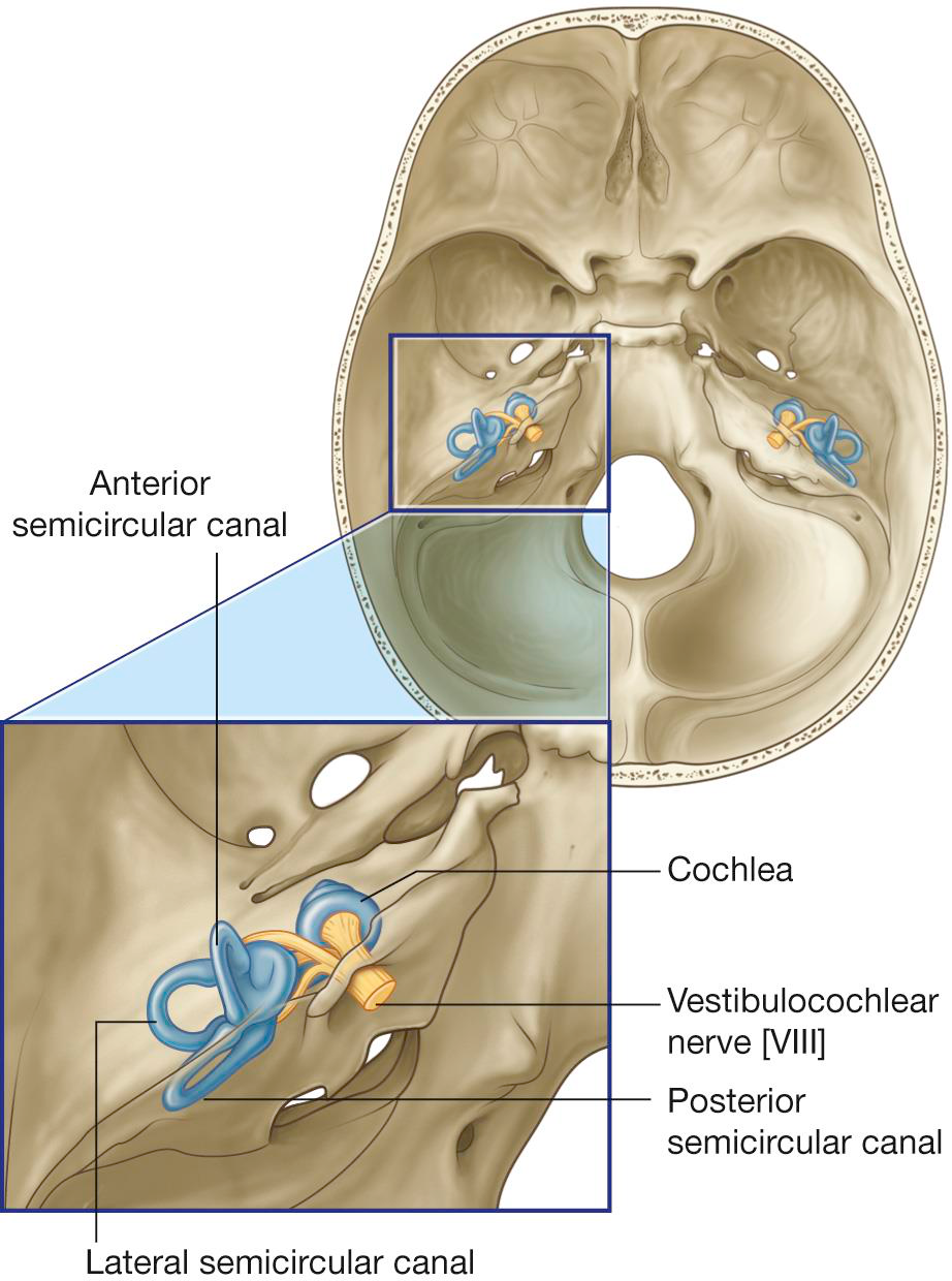 Sound transmission diagram