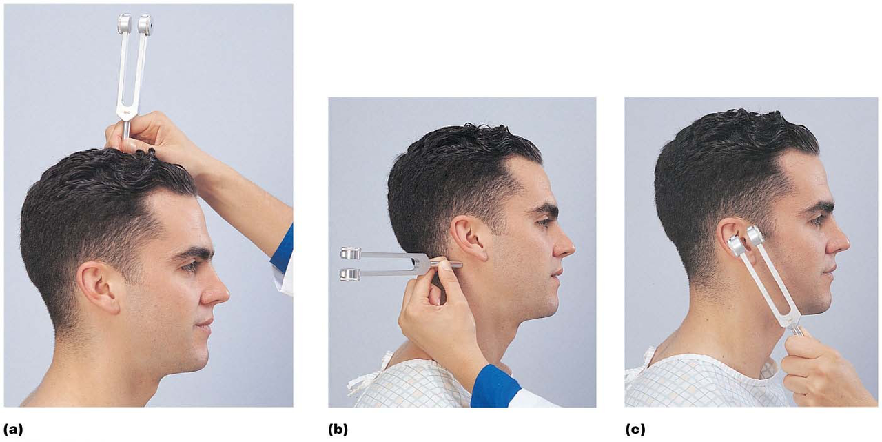 Weber and Rinne tests