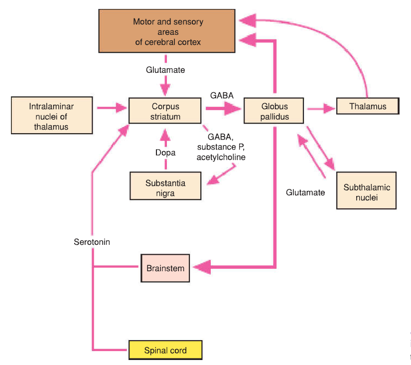 Motor loop diagram
