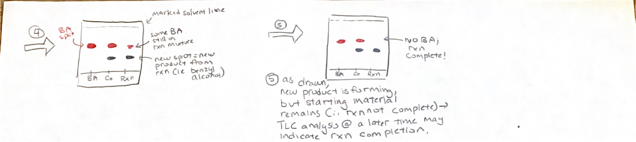 TLC progression showing starting material, product formation, and reaction completion
