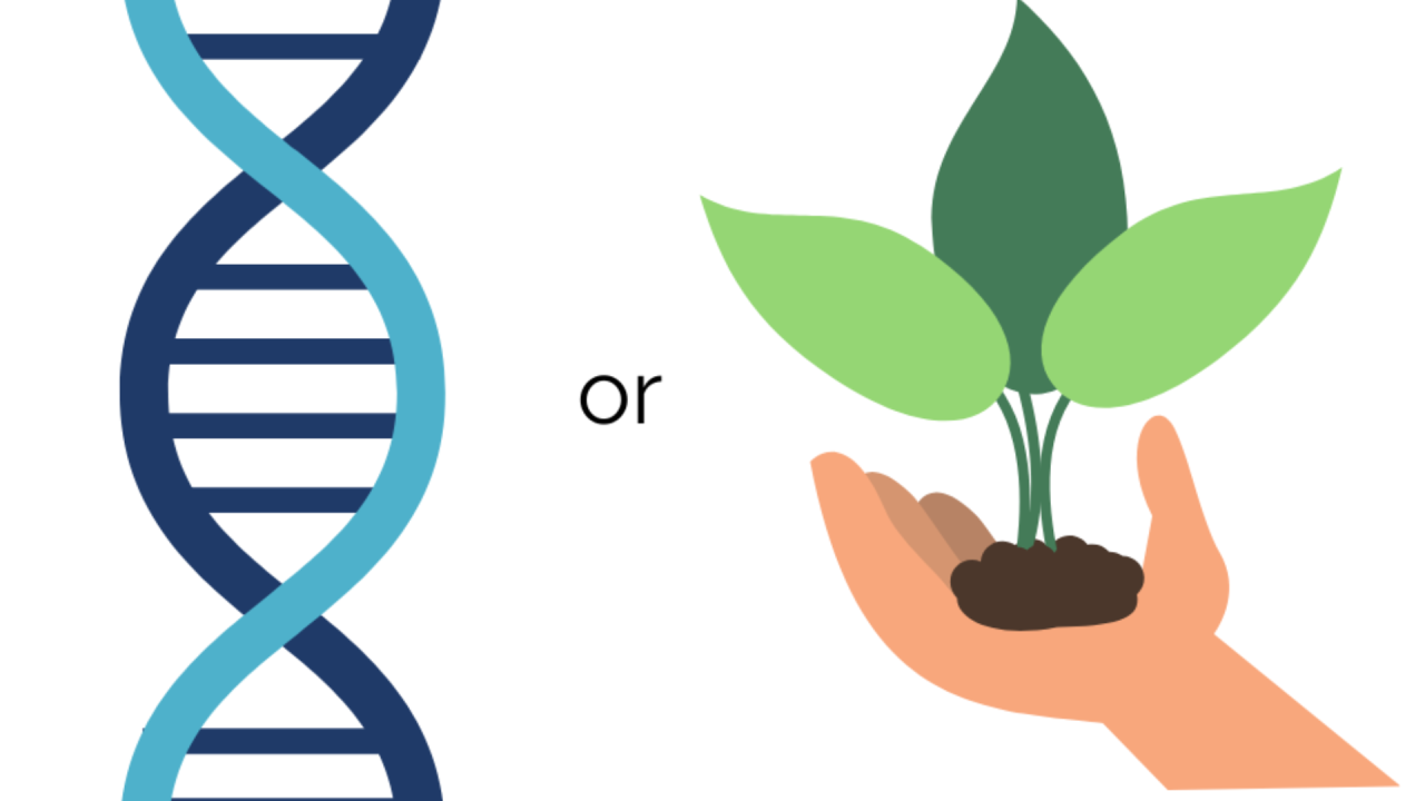 DNA and plant