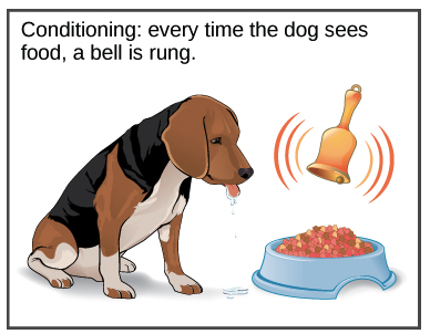 conditioning example