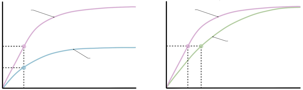 Enzyme kinetics plot showing effects of inhibitors