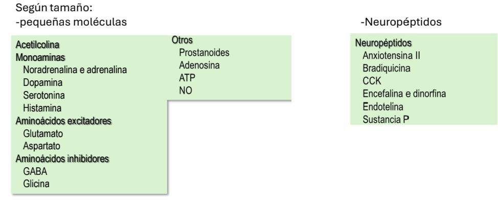 Tabla neurotransmisores