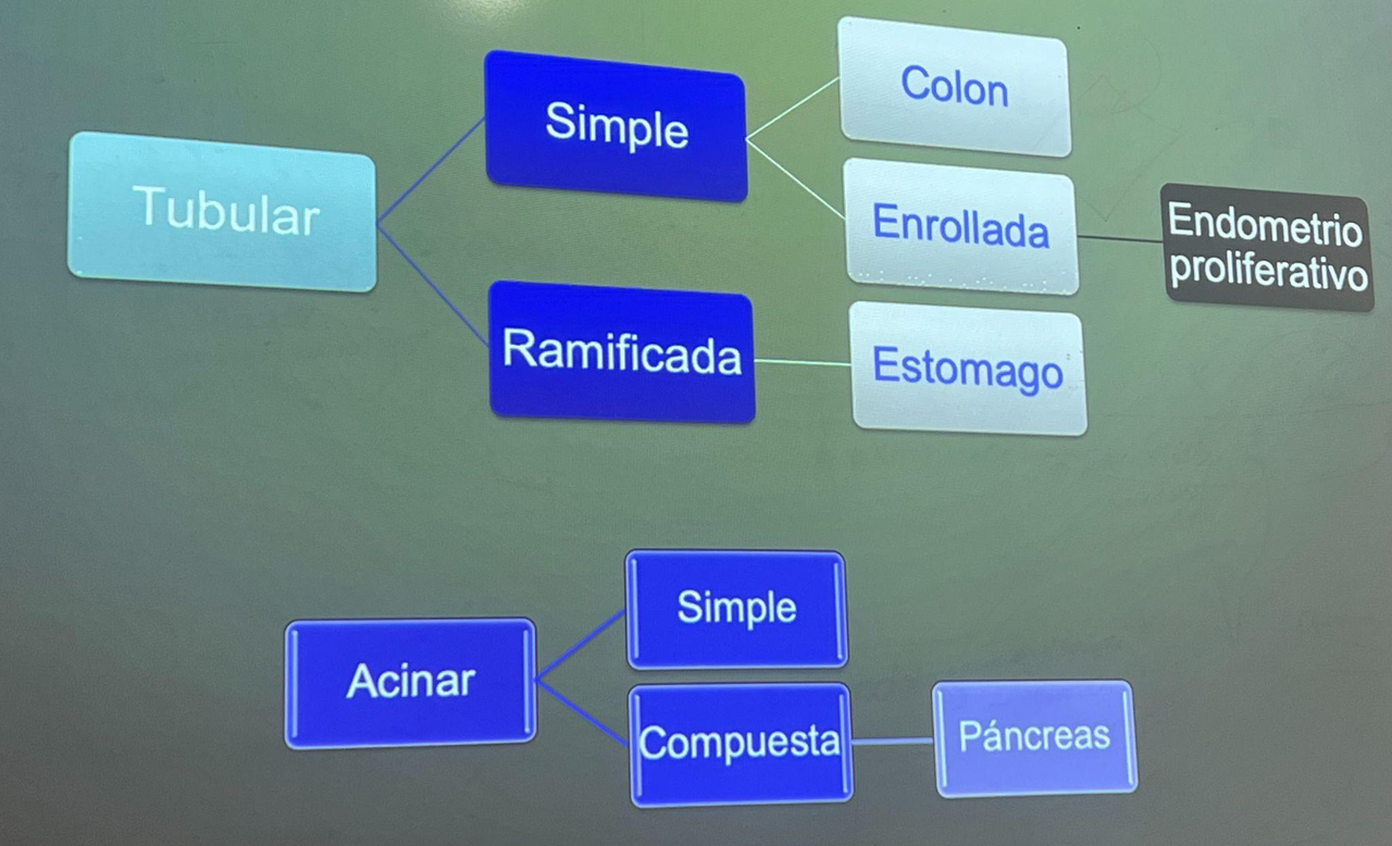 Clasificación conductos