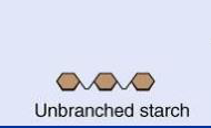 An illustration of unbranched starch
