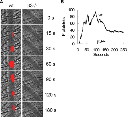 Panel showing reduced aggregation in beta3-deficient subjects