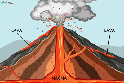 Diagram of a volcano erupting, showing magma underground, lava flowing from the crater and fissures, and smoke/ash clouds above.