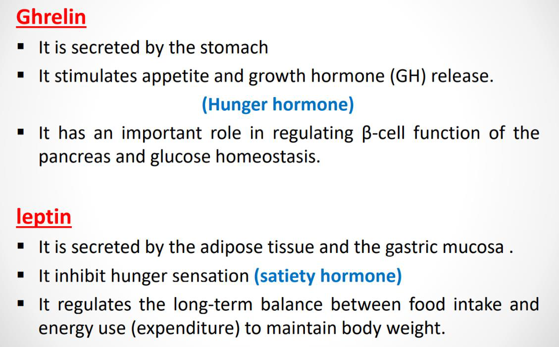 Ghrelin and Leptin