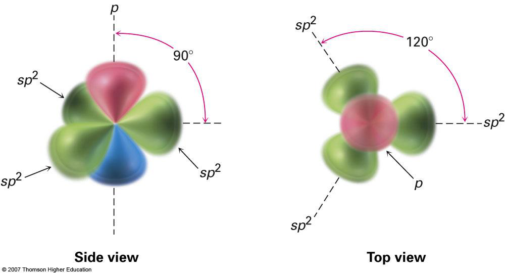 sp² orbitals side and top views