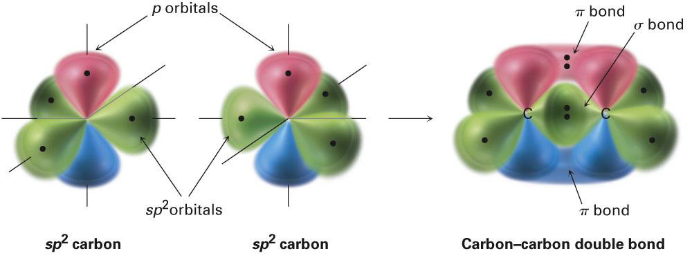 sp² overlap forming σ and π bonds