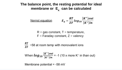 Nernst equation and example calculations