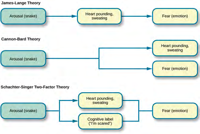 Emotion theories diagram