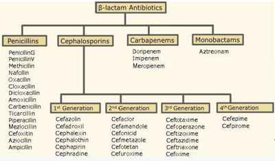 A flow chart showing beta-lactam antibiotics and their generations. Text and labels: Penicillins, Cephalosporins, Carbapenems, Monobactams.