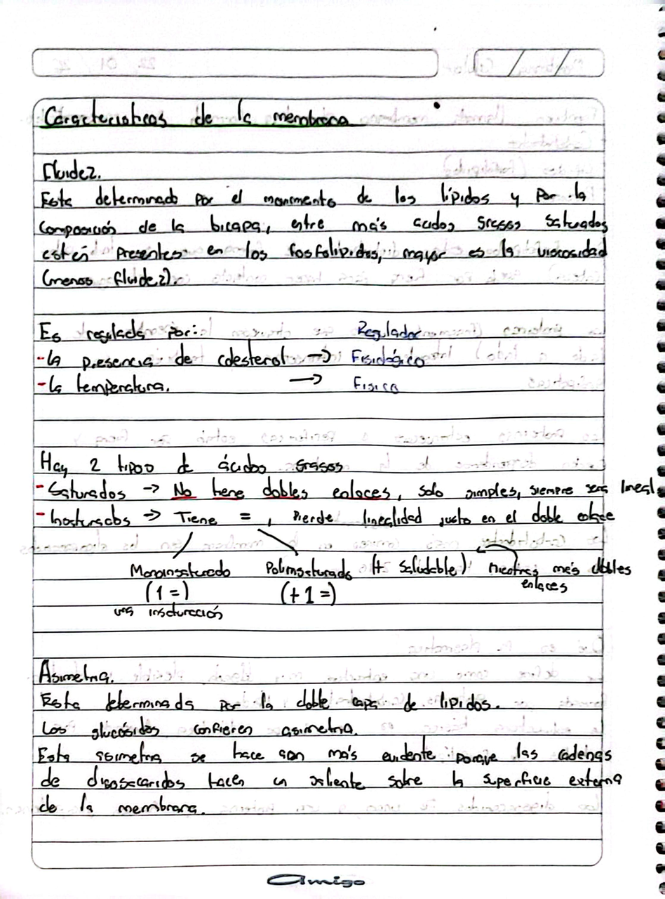 Fluidez y tipos de ácidos grasos